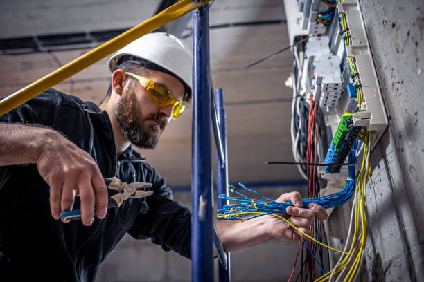 Best Home Electrical Repair  in Todd Creek, CO