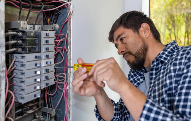 Best Ceiling Fan Installation Electrician  in Todd Creek, CO